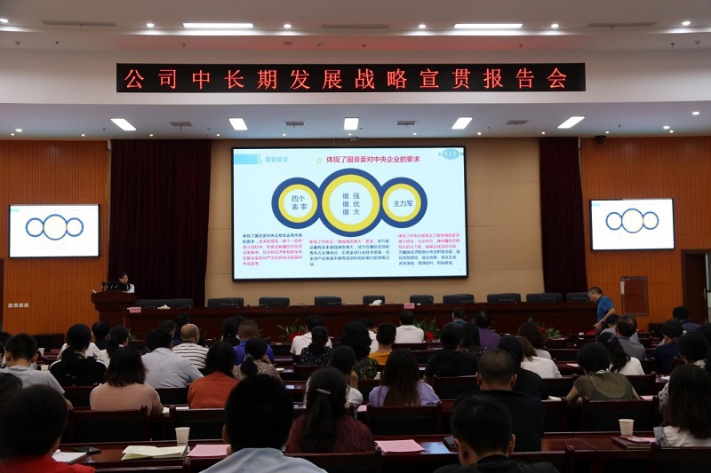公司舉辦“中長期發(fā)展戰(zhàn)略、精細(xì)化管理和合規(guī)管理”宣貫 首場報(bào)告會